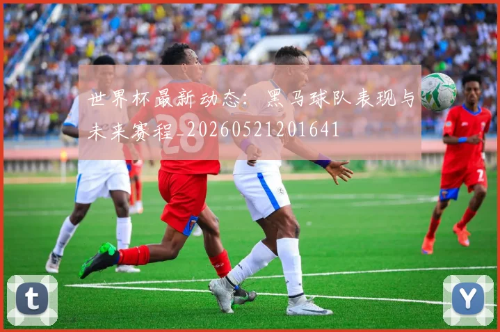 世界杯最新动态：黑马球队表现与未来赛程_20260521201641